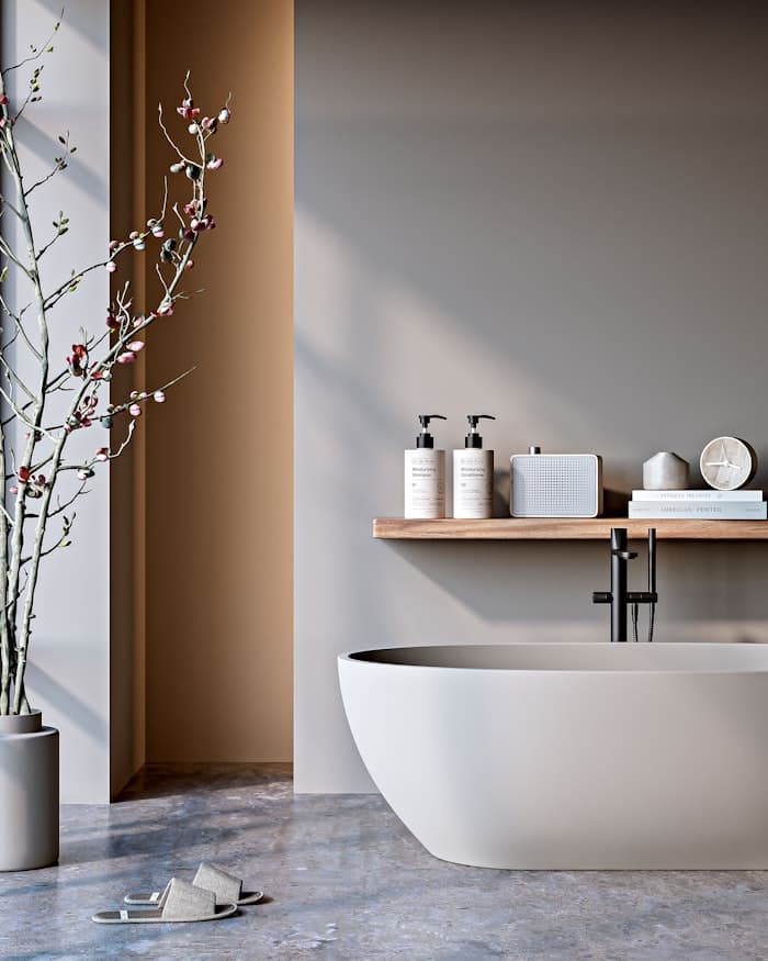 Minimal renovated bathroom with freestanding bath